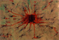 /album/smalti-su-rame-1/08-all-estremo-sguardow-jpg/